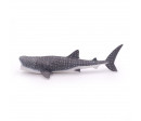 REQUIN BALEINE