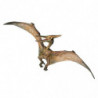 PTERANODON