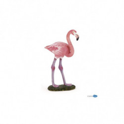 FLAMANT ROSE