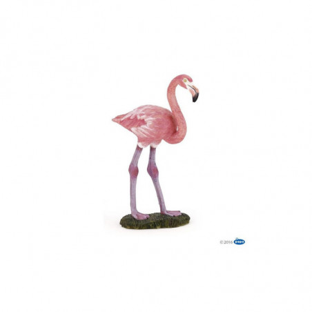 FLAMANT ROSE