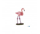 FLAMANT ROSE
