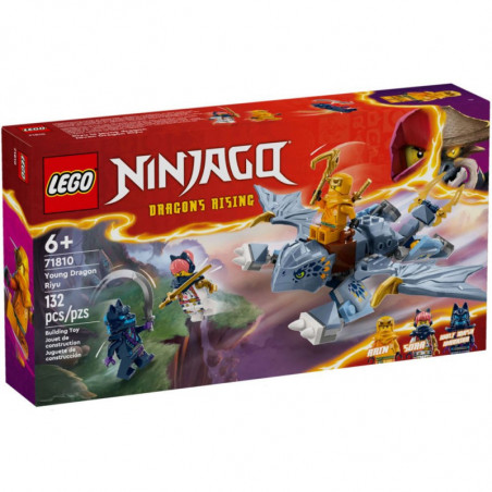 NINJAGO - LE JEUNE DRAGON RIUY