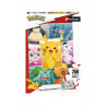 PUZZLE 250P - LES TYPES DE POKEMON