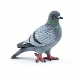 PIGEON