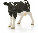 VEAU HOLSTEIN