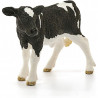 VEAU HOLSTEIN