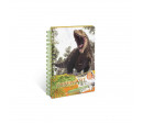 DINOSART - CARNET TABLEAUX A METALISER
