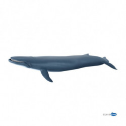 BALEINE BLEUE