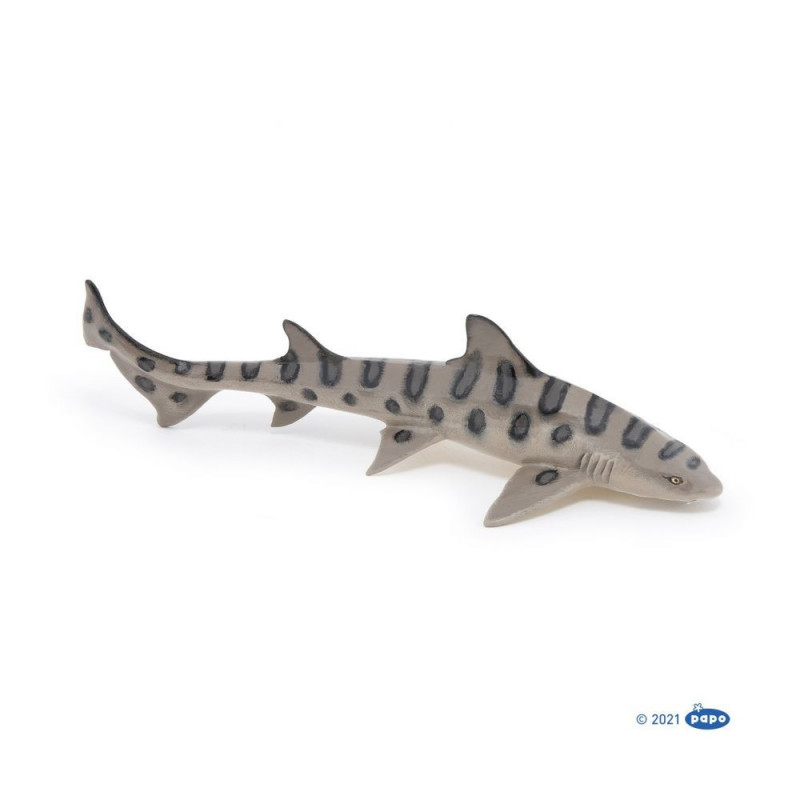 REQUIN LEOPARD