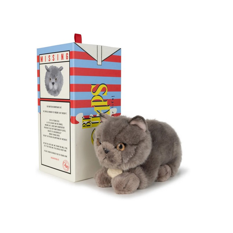 BTC - FREDDY LE BRITTISH SHORTHAIR EN BOITE CADEAU - 20 CM