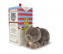 BTC - FREDDY LE BRITTISH SHORTHAIR EN BOITE CADEAU - 20 CM