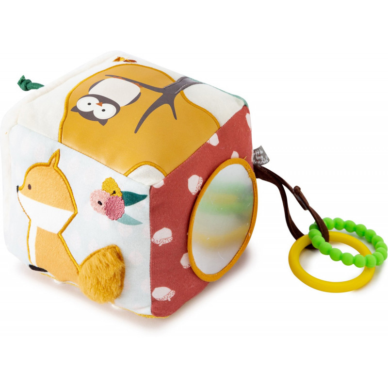 CUBE D'EVEIL - FORET