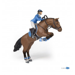 CHEVAL DE SAUT D'OBSTACLES ET SA CAVALIERE