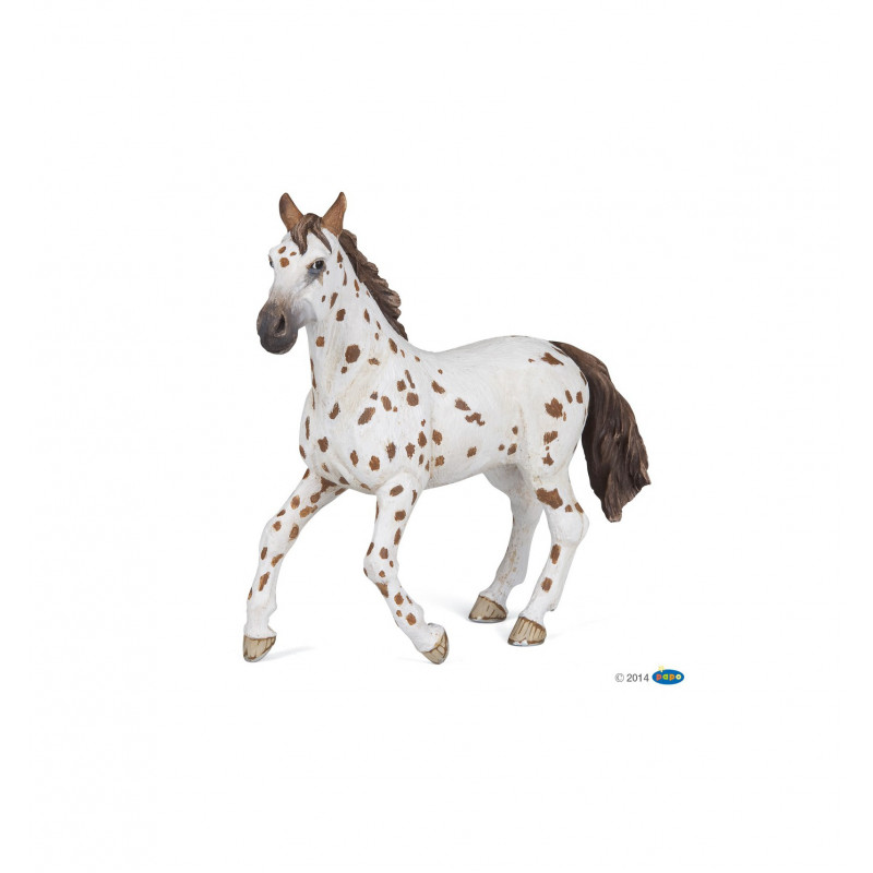 JUMENT APPALOOSA BRUNE