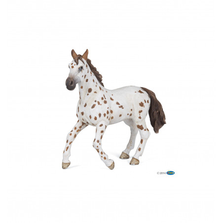 JUMENT APPALOOSA BRUNE