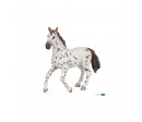 JUMENT APPALOOSA BRUNE
