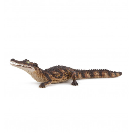 CAIMAN