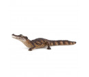 CAIMAN CAIMAN