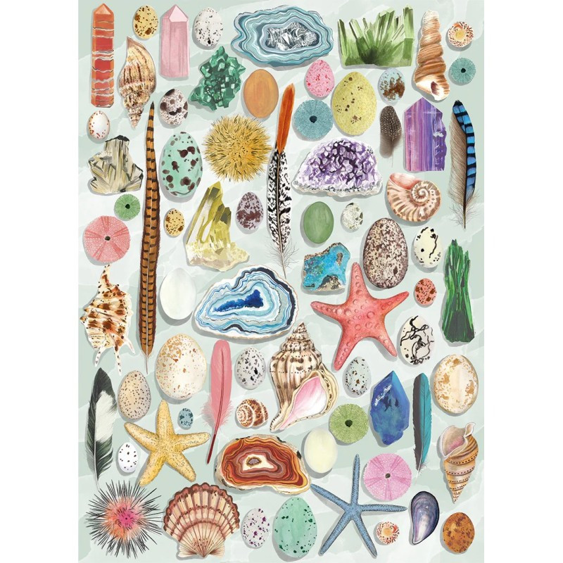 PUZZLE 1000P - NATURAL CURIOSITIES PUZZLE 1000P - NATURAL CURIOSITIES