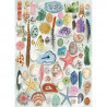 PUZZLE 1000P - NATURAL CURIOSITIES