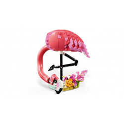 CREATOR - ANIMAUX SAUVAGES : LE FLAMANT ROSE