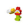 DUPLO - LE JARDIN CREATIF ET LES FLEURS