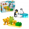 DUPLO - FAMILLES DE ANIMAUX SAUVAGES : PINGOUINS ET LIONS