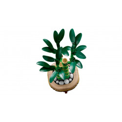 BOTANICALS - LE BAMBOU DE LA CHANCE