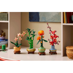 BOTANICALS - LE BAMBOU DE LA CHANCE