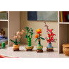 BOTANICALS - LE BAMBOU DE LA CHANCE