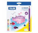 BOITE 12 MAXI CRAYONS COULEUR