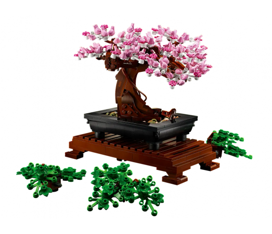 BOTANICALS - BONSAI
