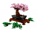 BOTANICALS - BONSAI