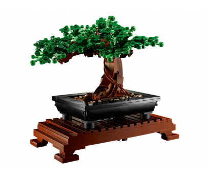 BOTANICALS - BONSAI
