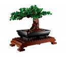 BOTANICALS - BONSAI