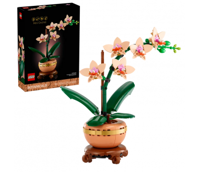 BOTANICALS - L'ORCHIDEE MINIATURE