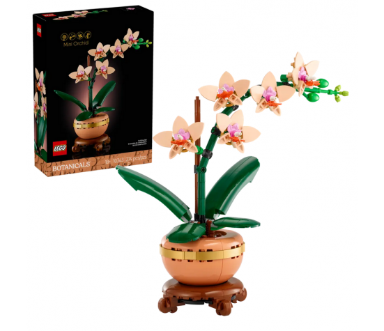BOTANICALS - L'ORCHIDEE MINIATURE