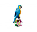 CREATOR - LE PERROQUET EXOTIQUE CREATOR - LE PERROQUET EXOTIQUE