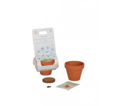 KIT DE PLANTATION - MYOSOTIS