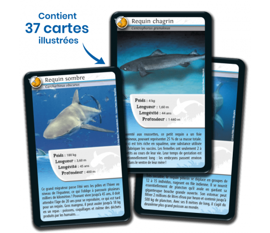 DEFIS NATURE - REQUINS