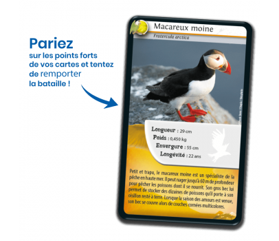 DEFIS NATURE - OISEAUX