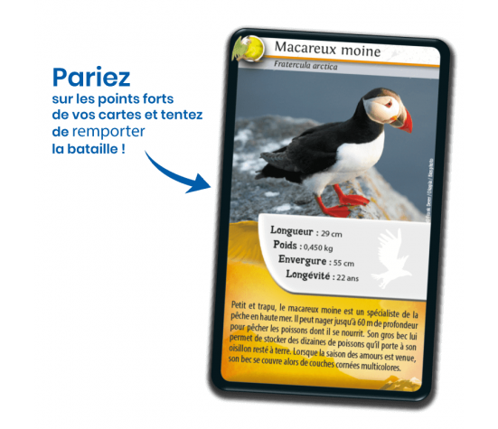 DEFIS NATURE - OISEAUX