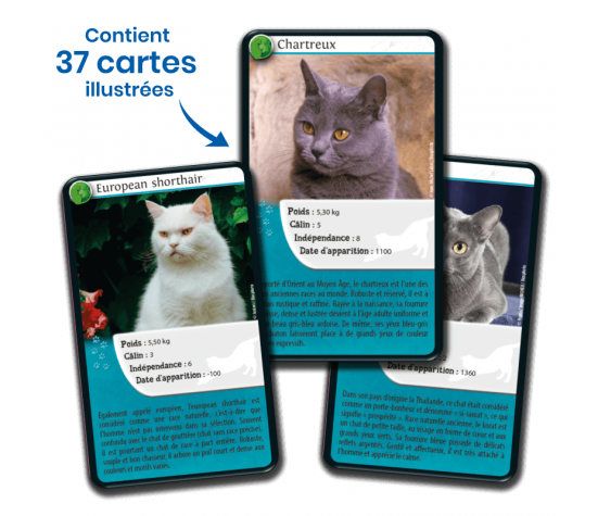 DEFIS NATURE - CHATS