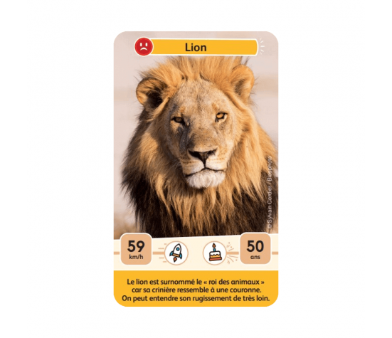 DEFIS NATURE JUNIOR - ROIS DE LA SAVANE