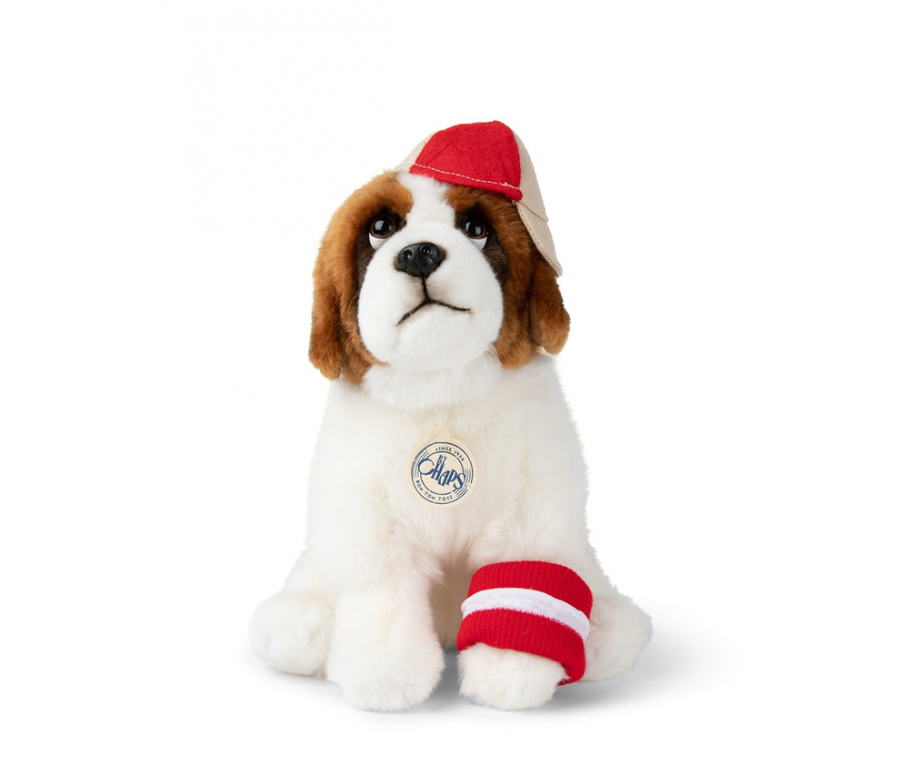 BTC - HERMAN LE SAINT BERNARD