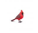 CARDINAL
