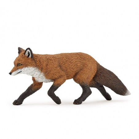 RENARD