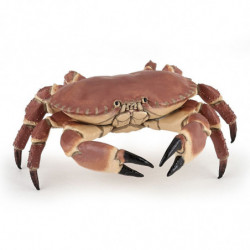 CRABE