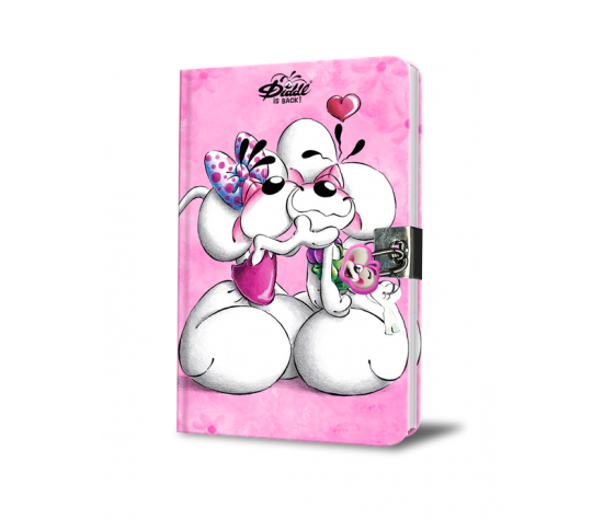 JOURNAL SECRET DIDDL