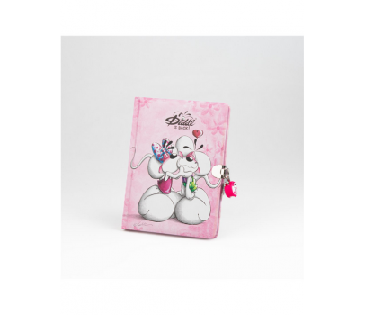 JOURNAL SECRET DIDDL